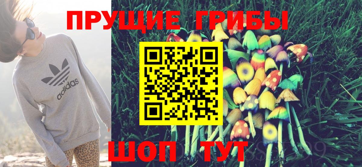 Лобня  Псилоцибиновые грибы GOLDEN TEACHER  Вход с VPN 